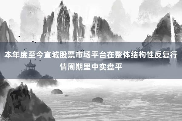 本年度至今宣城股票市场平台在整体结构性反复行情周期里中实盘平