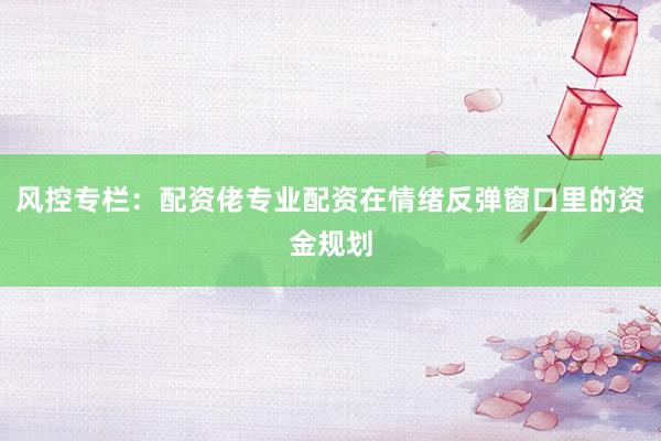 风控专栏:配资佬专业配资在情绪反弹窗口里的资金规划