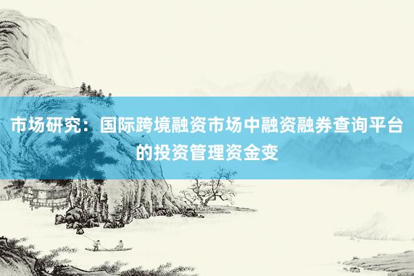 市场研究：国际跨境融资市场中融资融券查询平台的投资管理资金变