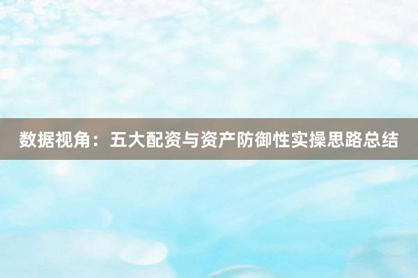 数据视角:五大配资与资产防御性实操思路总结