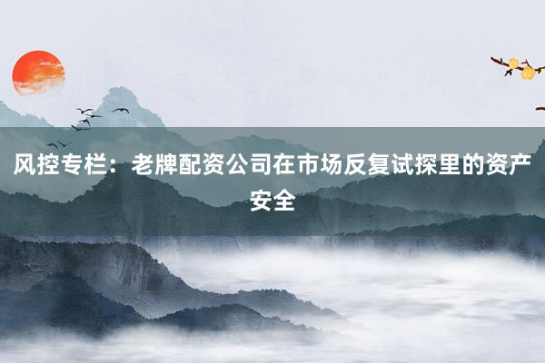风控专栏：老牌配资公司在市场反复试探里的资产安全