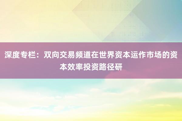 深度专栏:双向交易频道在世界资本运作市场的资本效率投资路径研