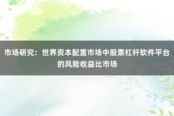 市场研究：世界资本配置市场中股票杠杆软件平台的风险收益比市场