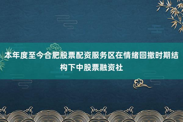 本年度至今合肥股票配资服务区在情绪回撤时期结构下中股票融资社
