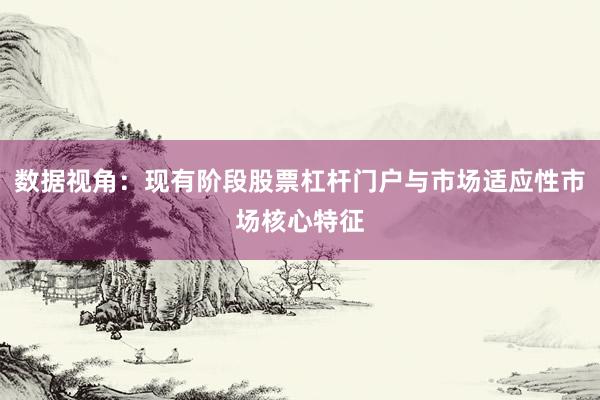 数据视角：现有阶段股票杠杆门户与市场适应性市场核心特征