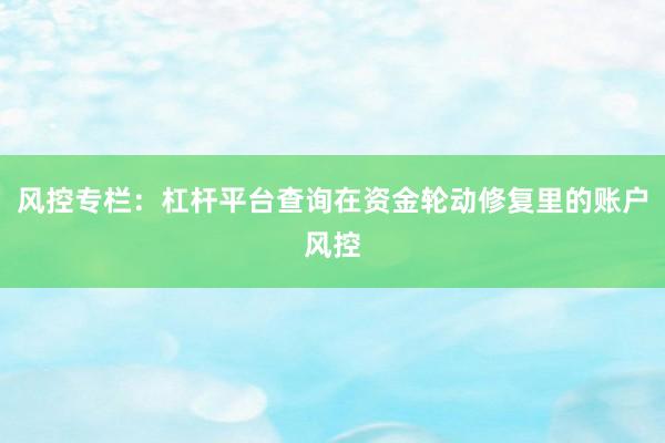 风控专栏：杠杆平台查询在资金轮动修复里的账户风控