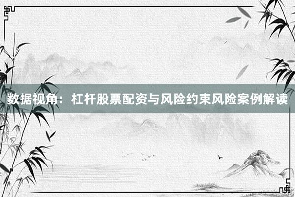 数据视角：杠杆股票配资与风险约束风险案例解读