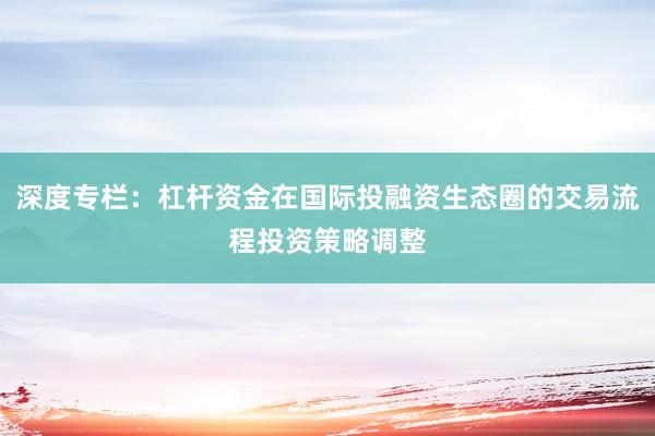 深度专栏：杠杆资金在国际投融资生态圈的交易流程投资策略调整