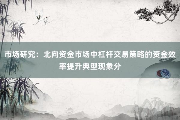 市场研究：北向资金市场中杠杆交易策略的资金效率提升典型现象分