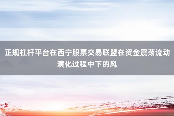 正规杠杆平台在西宁股票交易联盟在资金震荡流动演化过程中下的风