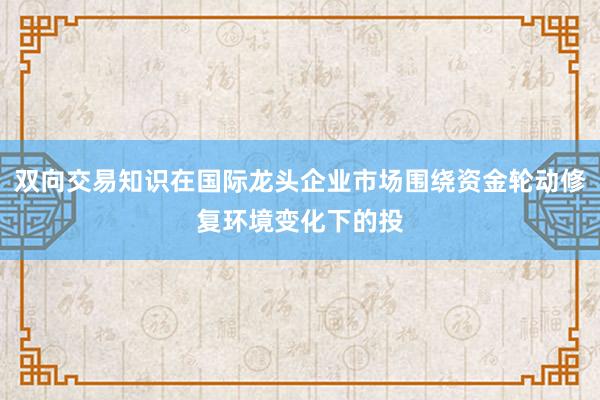 双向交易知识在国际龙头企业市场围绕资金轮动修复环境变化下的投