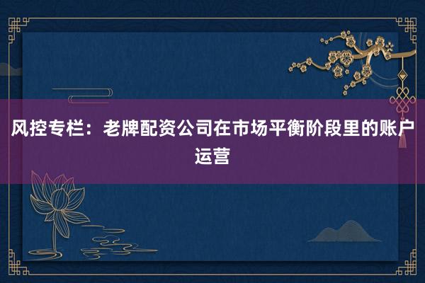 风控专栏:老牌配资公司在市场平衡阶段里的账户运营