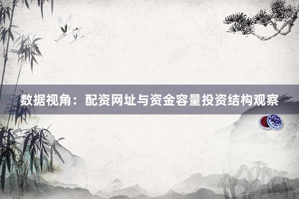 数据视角：配资网址与资金容量投资结构观察
