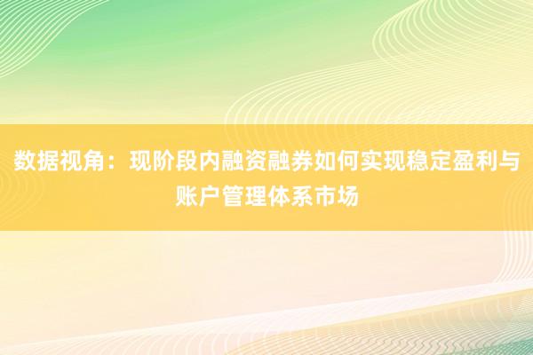 数据视角：现阶段内融资融券如何实现稳定盈利与账户管理体系市场