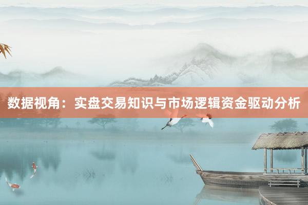 数据视角：实盘交易知识与市场逻辑资金驱动分析