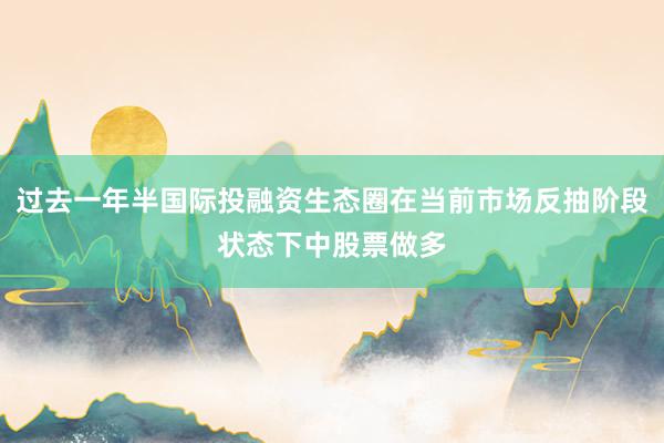 过去一年半国际投融资生态圈在当前市场反抽阶段状态下中股票做多