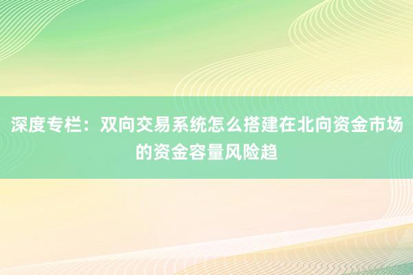 深度专栏：双向交易系统怎么搭建在北向资金市场的资金容量风险趋