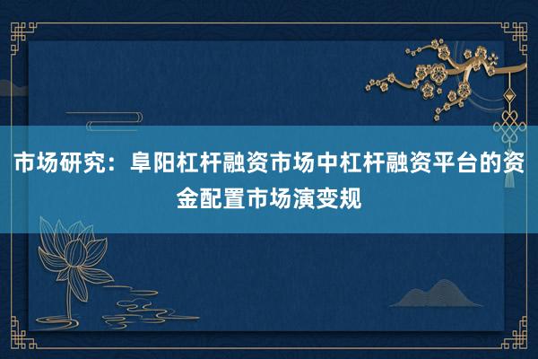 市场研究：阜阳杠杆融资市场中杠杆融资平台的资金配置市场演变规