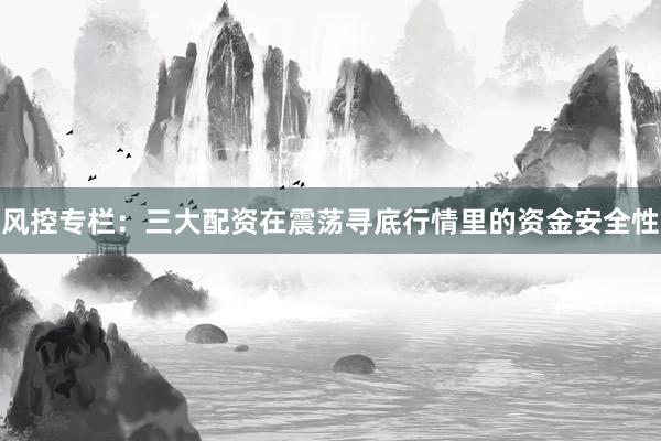 风控专栏：三大配资在震荡寻底行情里的资金安全性