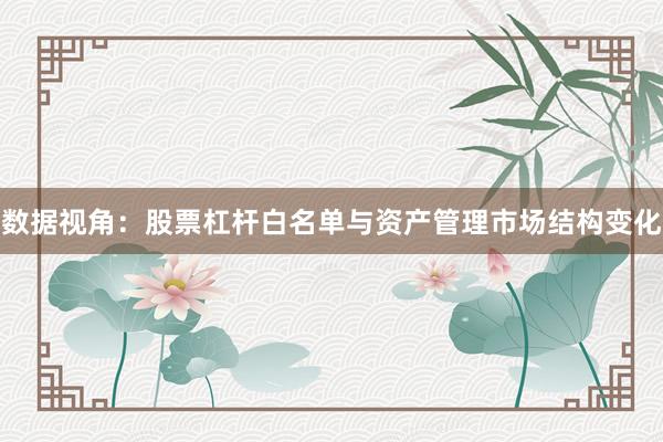 数据视角：股票杠杆白名单与资产管理市场结构变化