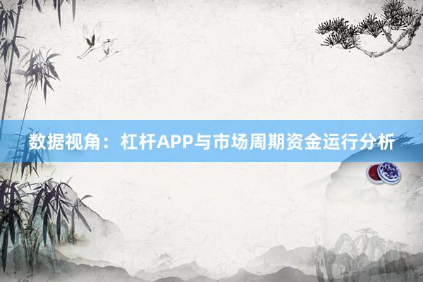 数据视角：杠杆APP与市场周期资金运行分析