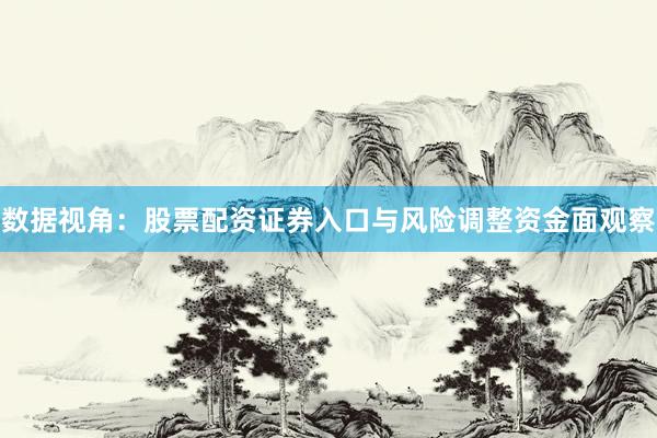 数据视角：股票配资证券入口与风险调整资金面观察