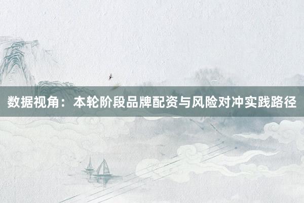 数据视角：本轮阶段品牌配资与风险对冲实践路径