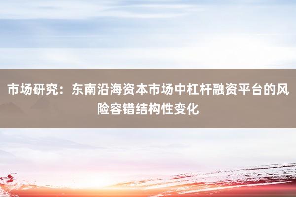 市场研究：东南沿海资本市场中杠杆融资平台的风险容错结构性变化