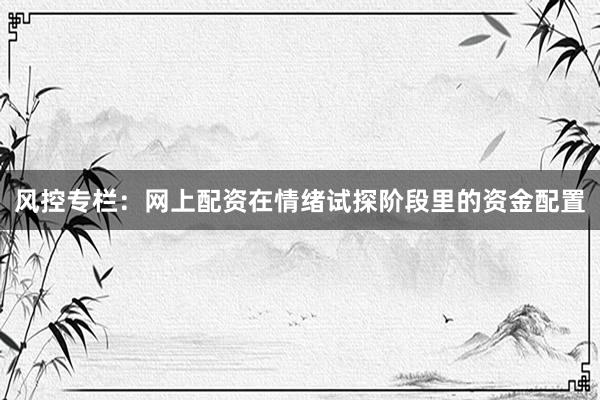 风控专栏：网上配资在情绪试探阶段里的资金配置