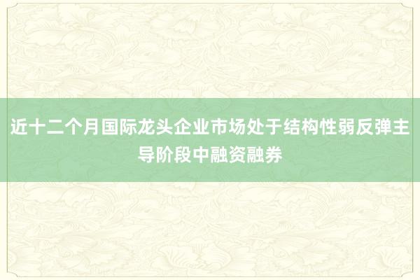 近十二个月国际龙头企业市场处于结构性弱反弹主导阶段中融资融券