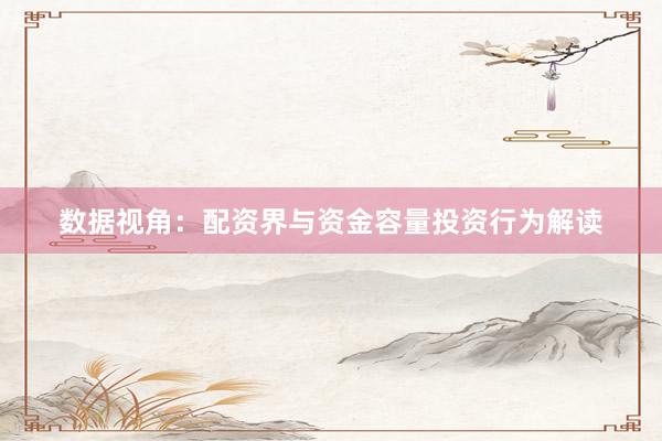 数据视角：配资界与资金容量投资行为解读