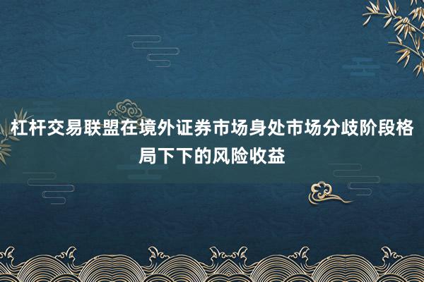 杠杆交易联盟在境外证券市场身处市场分歧阶段格局下下的风险收益