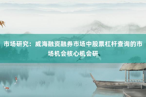 市场研究：威海融资融券市场中股票杠杆查询的市场机会核心机会研