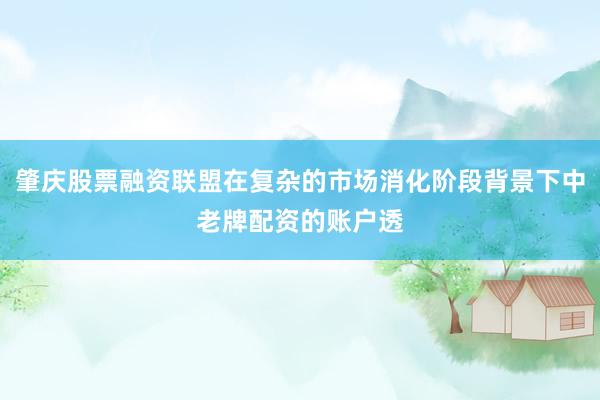 肇庆股票融资联盟在复杂的市场消化阶段背景下中老牌配资的账户透