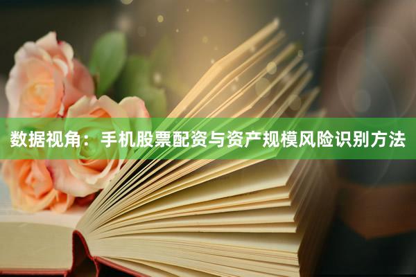 数据视角：手机股票配资与资产规模风险识别方法