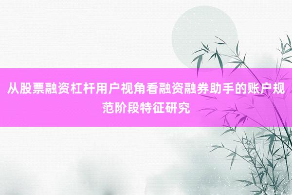 从股票融资杠杆用户视角看融资融券助手的账户规范阶段特征研究