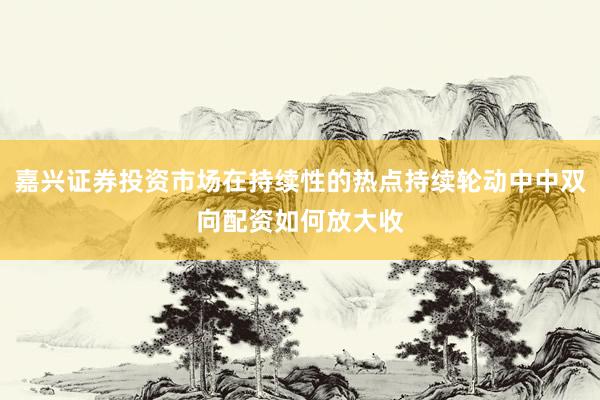 嘉兴证券投资市场在持续性的热点持续轮动中中双向配资如何放大收