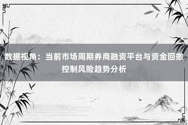 数据视角:当前市场周期券商融资平台与资金回撤控制风险趋势分析