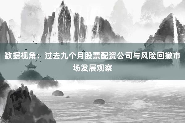 数据视角:过去九个月股票配资公司与风险回撤市场发展观察
