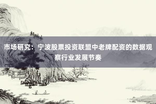 市场研究:宁波股票投资联盟中老牌配资的数据观察行业发展节奏