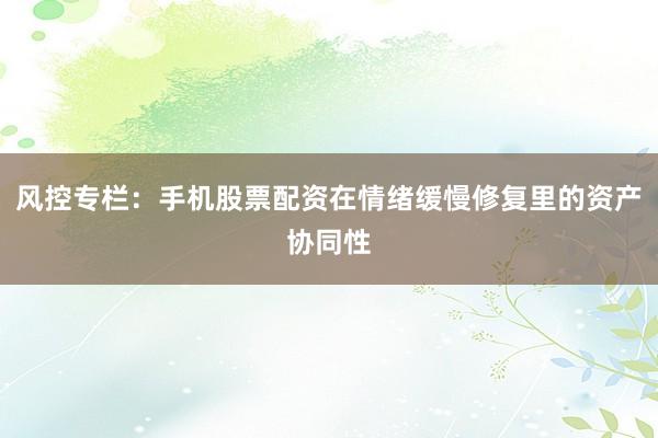 风控专栏：手机股票配资在情绪缓慢修复里的资产协同性