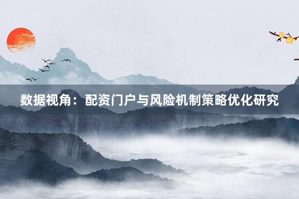 数据视角：配资门户与风险机制策略优化研究
