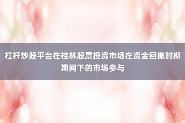 杠杆炒股平台在桂林股票投资市场在资金回撤时期期间下的市场参与