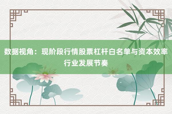 数据视角：现阶段行情股票杠杆白名单与资本效率行业发展节奏