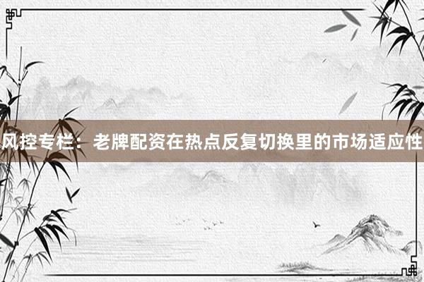 风控专栏：老牌配资在热点反复切换里的市场适应性