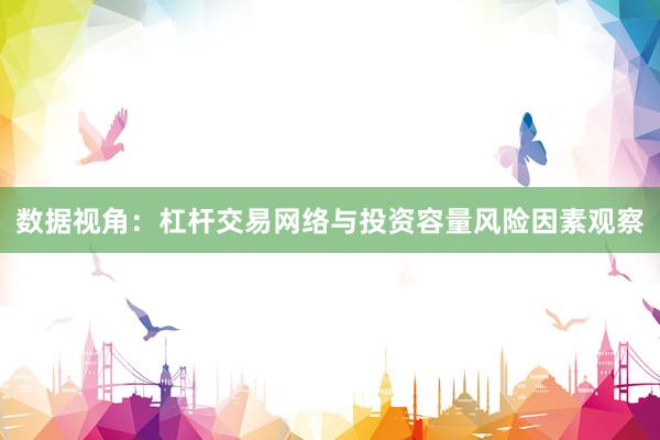 数据视角：杠杆交易网络与投资容量风险因素观察