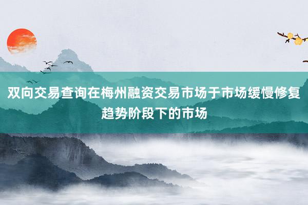 双向交易查询在梅州融资交易市场于市场缓慢修复趋势阶段下的市场