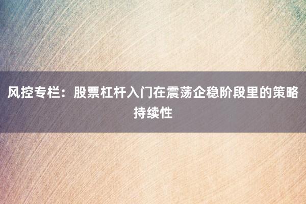 风控专栏：股票杠杆入门在震荡企稳阶段里的策略持续性