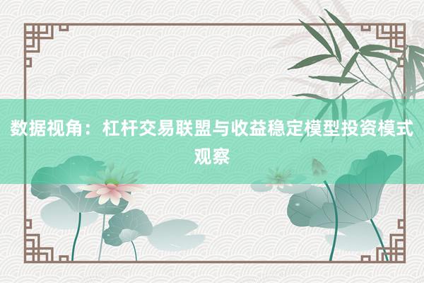 数据视角：杠杆交易联盟与收益稳定模型投资模式观察
