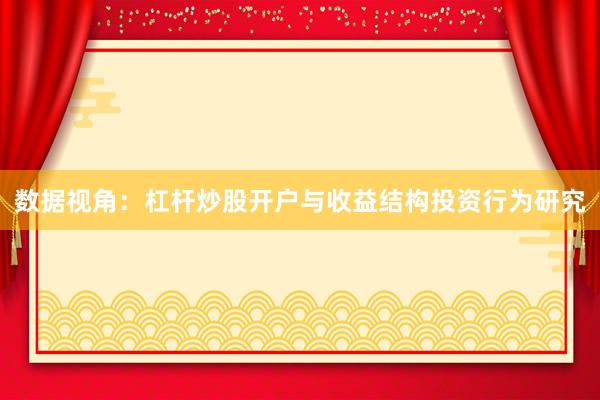 数据视角：杠杆炒股开户与收益结构投资行为研究